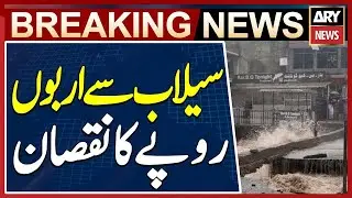 Mingora: Flood Damages 2,500 Shops, Causes Loss of Rs 9 Billion | Swat Flood Disaster