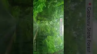 Summer Vs Now #gajanuru #stateforest #theertahalli #shivamogg #summer #monsoon  #travelkarnataka