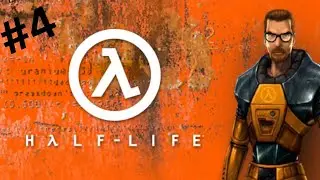 Half-life (#4)