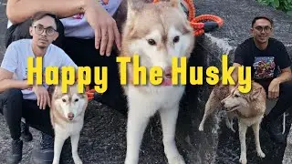Вид от первого лица: Познаём мир, виляя хвостом по одному 🐶Insta360 GO 3S | Камера на большом пал...