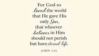 1 Hour Elegant Bible Verse Screensaver 🕊️ | Silent Scripture Loop for Homes, Churches, and Hospitals