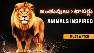 5 Animals That Teach Students How to Succeed🔥🔥🔥