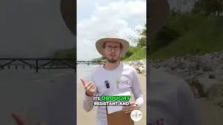 Coastal Erosion Solved: Vetiver & Rock Revetment Project #shorts