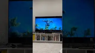 Budget 65 inch TV TCL C805K. Couldn't afford OLED #tcl #ledtv #television #gamingtv