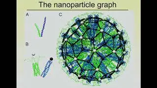 A Mathematical Model for the Classification of Self-Assembling Polypeptide Nanoparticles