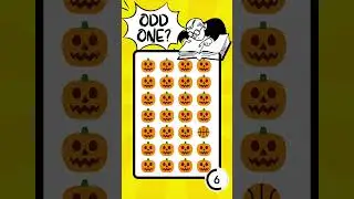 Fun with Puzzles: Engaging Brain Teasers for All Ages