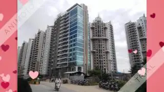 8686124953 Ramky towers gachibowli hyderabad for rent