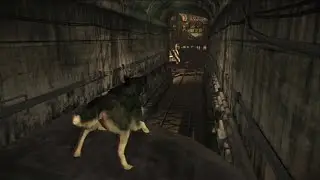 Shadow the Malamute/Wolf Dog 2 - Dead to Rights: Retribution