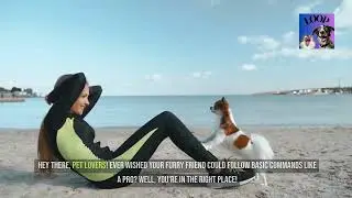 Train Your Dog Like A Pro!