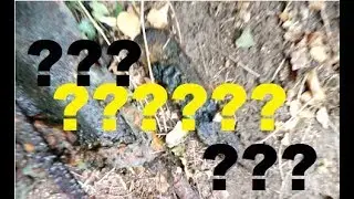What the Hell is that Magnet Fishing