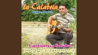 Mi vestu i pacciu