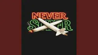 Never Sober (feat. Gringo The Mc & FTW Von)