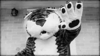 LSU Mike the Tiger- Instructional Video
