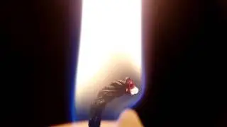 Royalty free video (CC-BY): Burning candle close-up