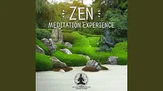 Body, Mind & Soul Connection