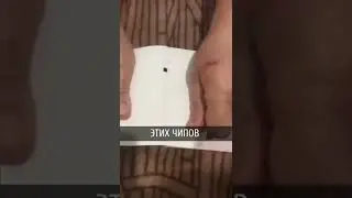 В Молдове рвут паспорта, чтобы достать чип