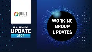 BRICS Business Council WORKING GROUPS UPDATE -  HIGHLIGHTS 2024
