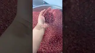 Premium Chinese Red Sichuan Peppercorns Wholesale & retail! #nature #machine #sichuanpeppercorn