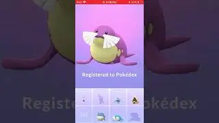 Shiny Spheal evolved on community day