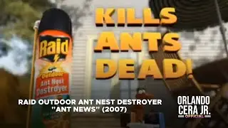 Raid Outdoor Ant Nest Destroyer 