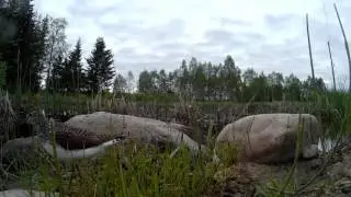 Rantasipi