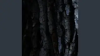 Eskimo Dance Break