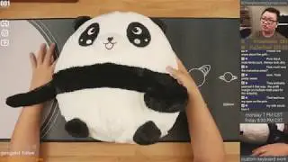 Unboxing: Godspeed Desk Mats (Panda, Laser)