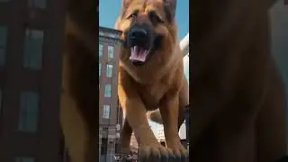 #hugedog #dogattack #godzilla #cute #aivideo #sora2