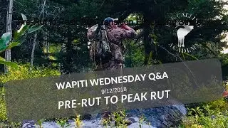 Peak Rut Elk Calling Tips | Wapiti Wednesday Q&A - EP 33