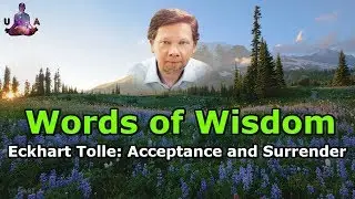 Words of Wisdom: Eckhart Tolle: Acceptance and Surrender