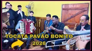 🎶TOCATA PAVÃO BONITO/2026