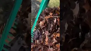 FALL IS ALMOST OVER, GET READY! #yardcleanup
