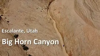 Big Horn Canyon, Escalante, Utah