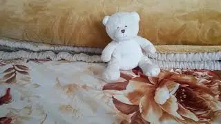 SajidNation VS TeddyNation