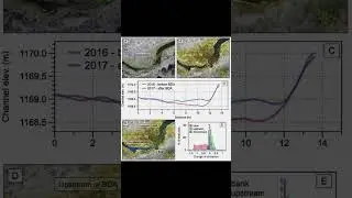 The secret to attracting more beavers? 🦫✨ Build wetlands with BDAs (Beaver Dam Analogs)