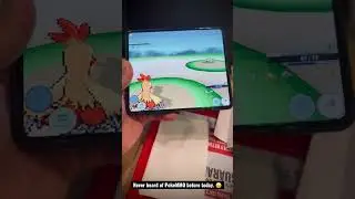 I Wish I Knew About PokeMMO Sooner!