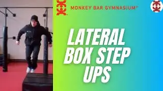 Monkey Bar Gym - Lateral Box Step Ups