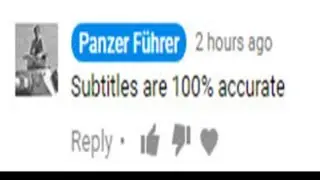 i can confirm the subtitles are 100% correct