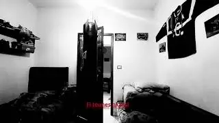 ANVS - 