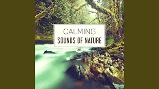 Soothing Wind