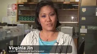 Soil Respiration  Overview