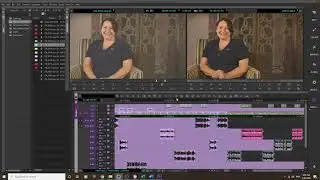 Avid MC Timeline tools