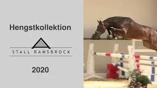 Trailer Hengste 2020
