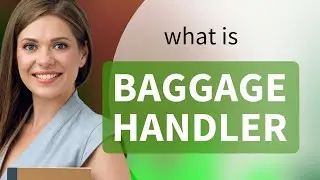 Understanding the Role of a Baggage Handler