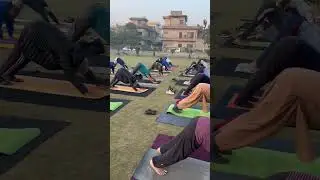 #youtubeshorts #yoga #shorts #shortvideo #exercise #youngyogi