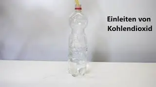 Kohlendioxid und Wasser