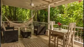 Bodhi Casitas 🌿✨