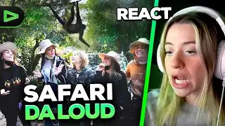 LOUD VOLTAN REAGINDO AO PRIMEIRO SAFARI DA LOUD!