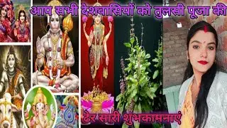 मेरे तरफ से आप सभी सनातनियों को तुलसी पूजा की ढेर सारी शुभकामनाएं #trendingvideo #dellylongvideo 