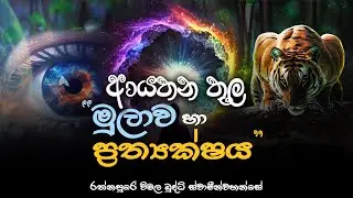 ආයතන තුල මුලාව හා ප්‍රත්‍යක්ෂය.